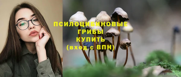 бошки Алексеевка