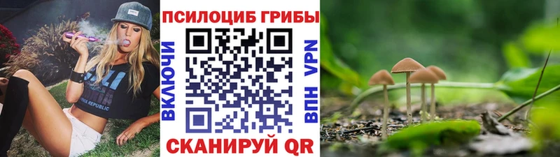 MEGA   Жиздра  Псилоцибиновые грибы GOLDEN TEACHER  продажа наркотиков 